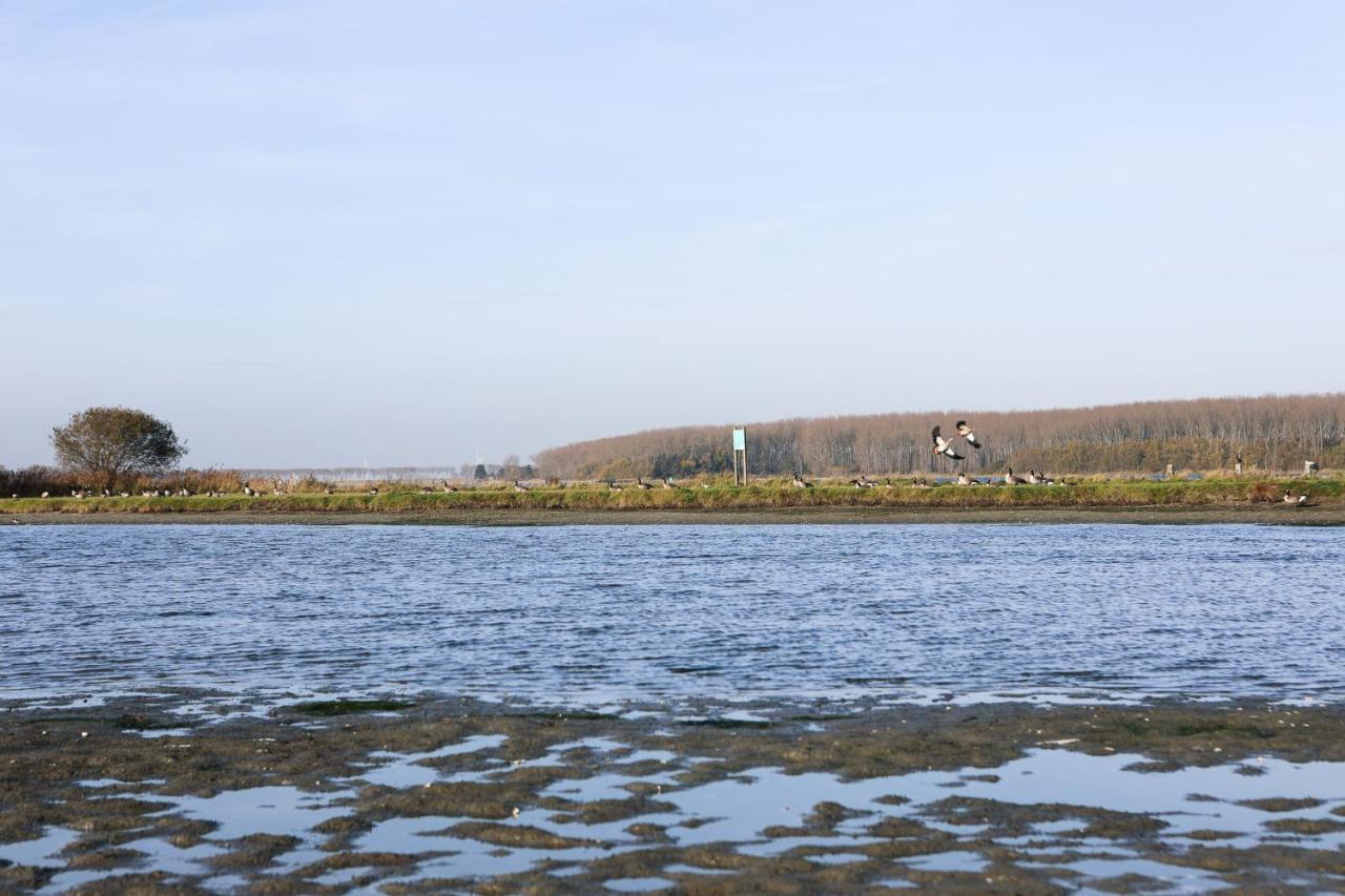 Wolphaartsdijk Huis Met Een Uitzicht Exteriör bild