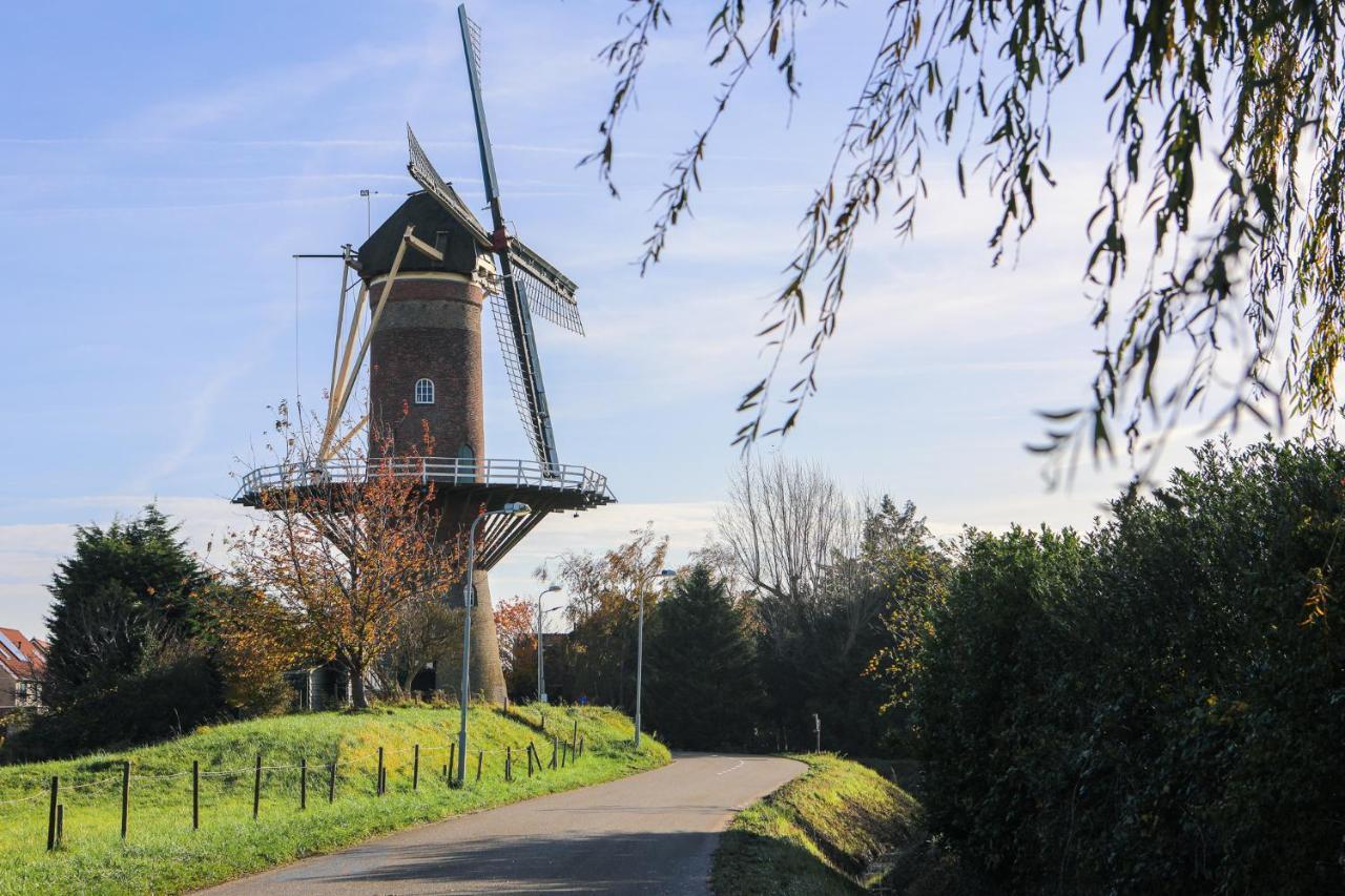 Wolphaartsdijk Huis Met Een Uitzicht Exteriör bild