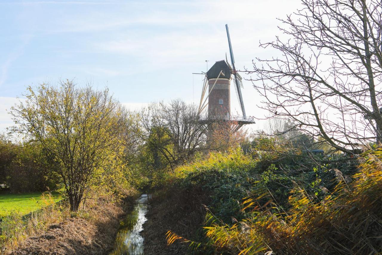 Wolphaartsdijk Huis Met Een Uitzicht Exteriör bild