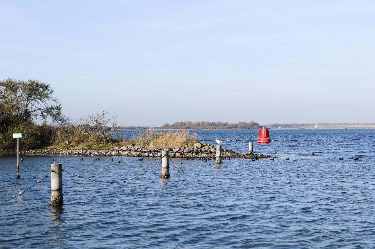 Wolphaartsdijk Huis Met Een Uitzicht Exteriör bild